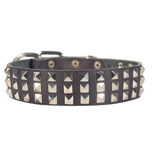 best leather dog collar for gsd