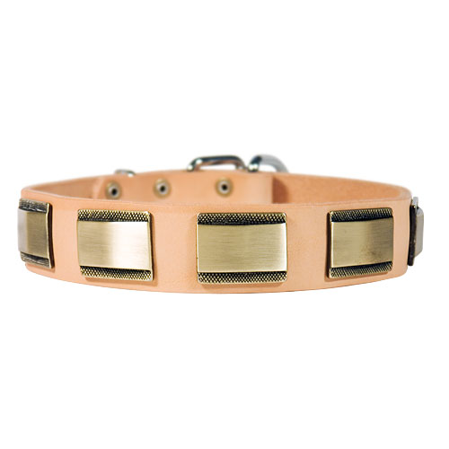 "Retro" Hundehalsband aus Leder