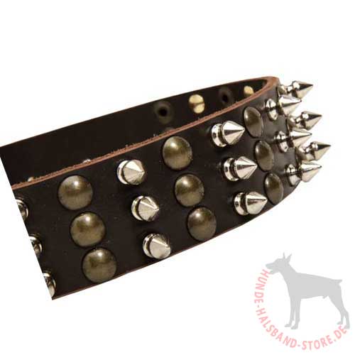 Spiked Dog Collar Leather Fine 
