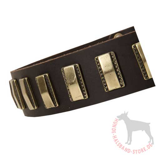 Leather Dog Collar Exclusive 
