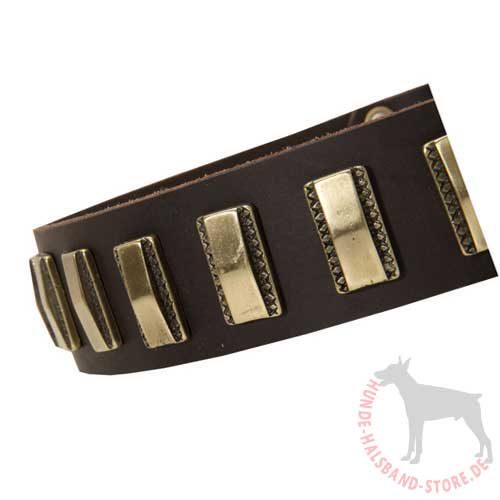 Hunde Halsband Leder Exklusiv 