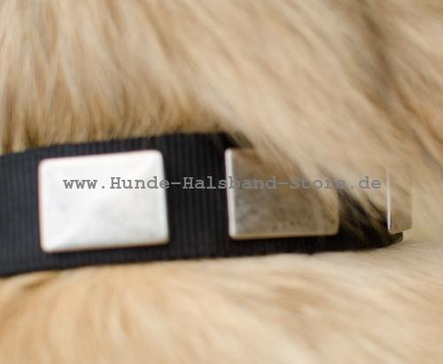 Nylon Hundehalsband mit Platten für Tervueren
