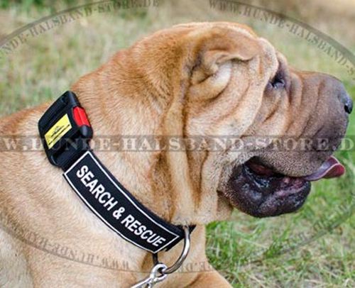 Hundehalsband K9 Nylon für Shar-Pei