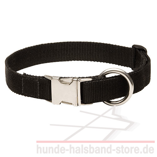 Hochwertiges Hundehalsband