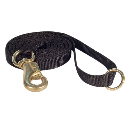 Nylon Leash with a massive solid brass snap