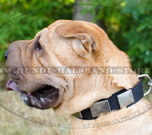 Nylonhalsband mit rechteckigen Platten für Shar-Pei