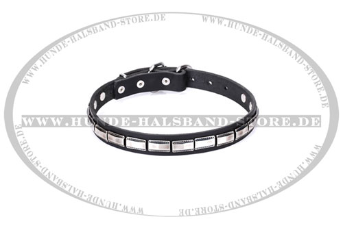 Exklusives Leder Hundehalsband von FDT Artisan