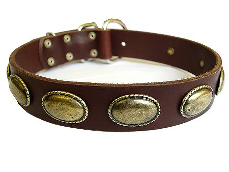 "Retro" Hundehalsband Leder mit Vintage-Stil - zum Schließen ins Bild klicken