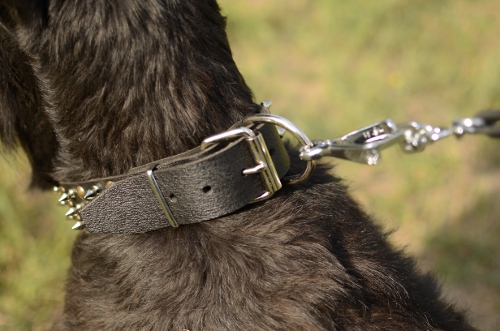 Riesenschnauzer-Lederhalsband-Breit-Nieten-Spikes