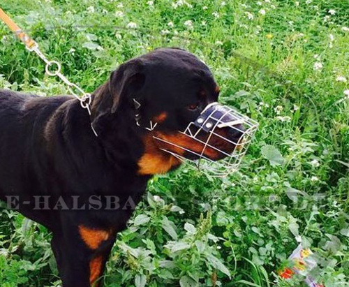 Drahtmaulkorb für große Hunderassen- Bestes Angebot - zum Schließen ins Bild klicken