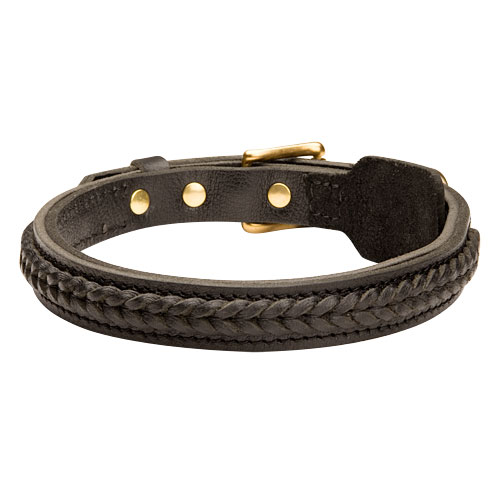 Leather dog collar