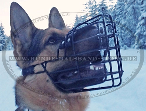 Winter Beißkorb gummiert für Deutschen Schäferhund