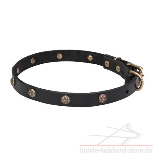 Elegantes Messing-Nieten Halsband aus Leder