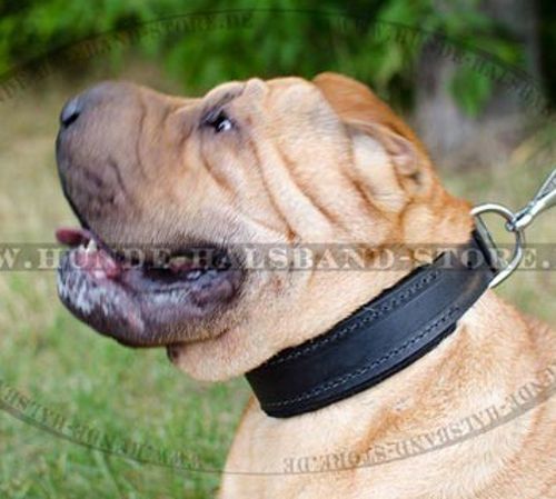 Lederhalsband mit Filz für Shar-Pei