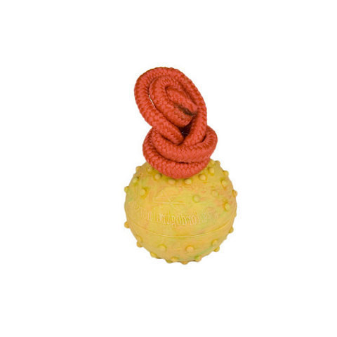 Spielzeug für Hunde - Ball mit Nylonschnur, 6 cm - zum Schließen ins Bild klicken