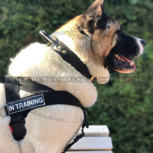 Akita Hundehalsband Leder mit Handschlaufe ❺❺❺