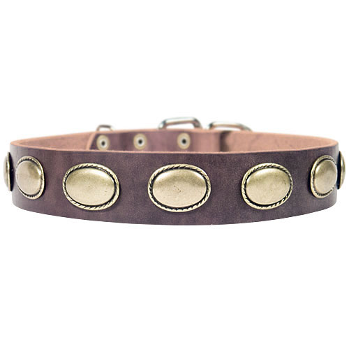 Retro leather dog collar