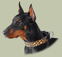 Bemaltes Hundehalsband für Dobermann - zum Schließen ins Bild klicken