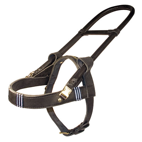 guide dog harness