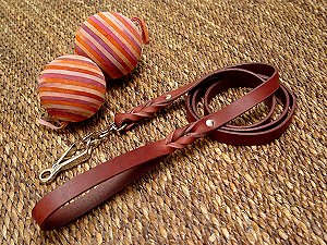 Leather dog leash