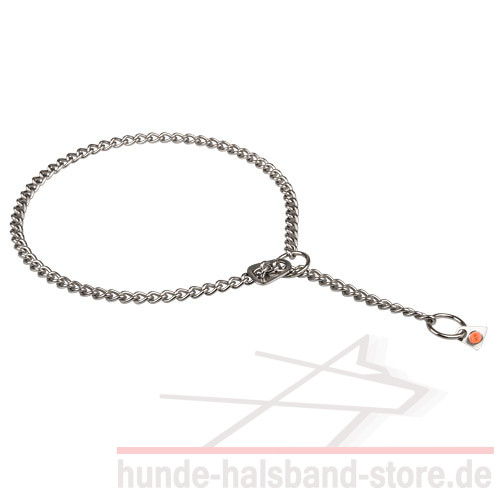 Bestseller Kettenhalsband Edelstahl 2.5 mm, Herm Sprenger