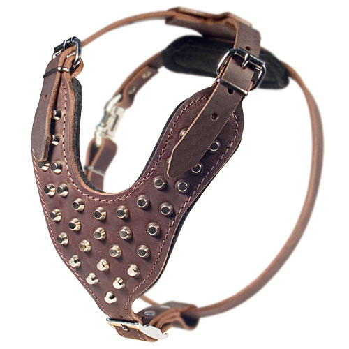 Royal studded leather dog harness