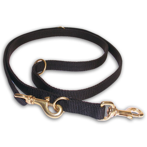 nylon dog leash for trackink