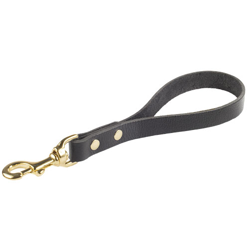 Leather Leash with a Handle