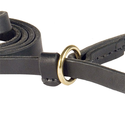 Fast Walking Combo Leash with Choke Collar - Click Image to Close