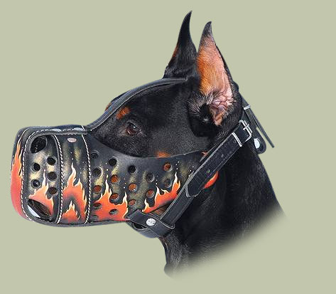 Bemalter Hundemaulkorb Flamme M77