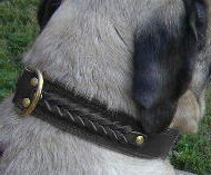 Bullmastiff Handcrafted Leather Dog Collar