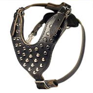 New Studded Walking Dog Leather Harness with Pyramids - Click Image to Close