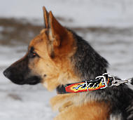 Deutscher Schäferhund "Flamme" Hundehalsband aus Leder