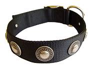 Hundehalsband aus mit silber concho