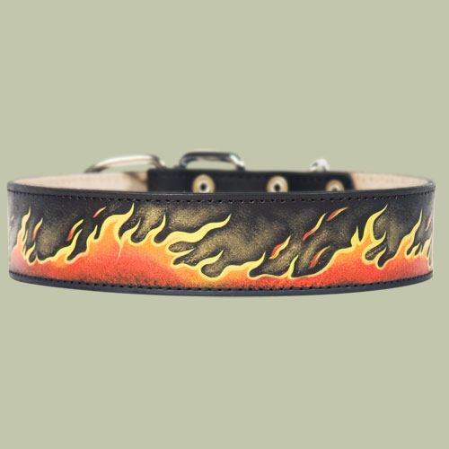 Leather Dog Collar with 