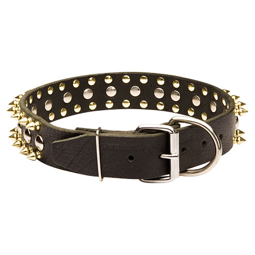 brass spiked dog collar for rhodesian ridgeback