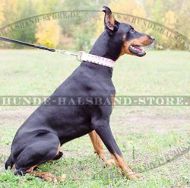 Exklusives Hundehalsband aus Leder weiß für Dobermann✩✩✩